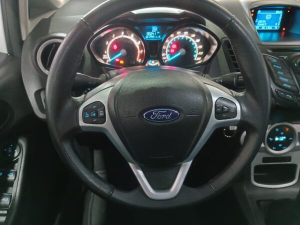 New fiesta (12)